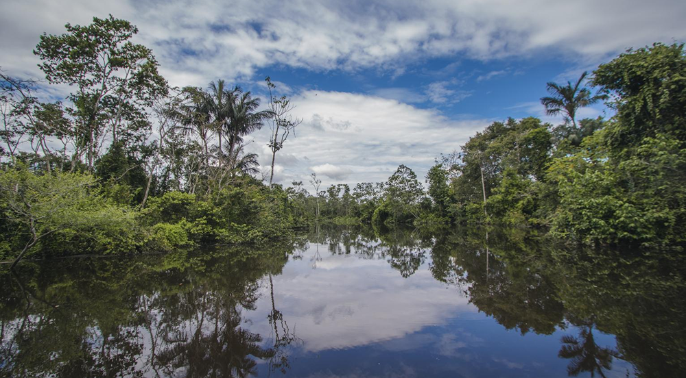 amazonia-destinos-nacionales-peru1